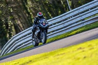 Oulton-Park-20th-March-2020;PJ-Motorsport-Photography-2020;anglesey;brands-hatch;cadwell-park;croft;donington-park;enduro-digital-images;event-digital-images;eventdigitalimages;mallory;no-limits;oulton-park;peter-wileman-photography;racing-digital-images;silverstone;snetterton;trackday-digital-images;trackday-photos;vmcc-banbury-run;welsh-2-day-enduro